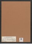 Navicula lanceolata var. arenaria (Donk.) V.H. (de-Toni-Nr.: Genus 1, Species 141) Zeichnungen Sammlung Grunow Mappe 00126 (Herbarium_W_Grunow_drawings_Folder_00126)